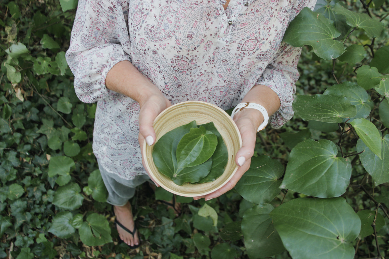 Buy Kawawaka & Magnesium Online. Koa Botanics.