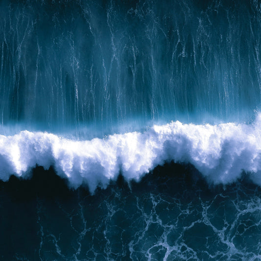 Born from the Sea: Where our Magnesium comes from