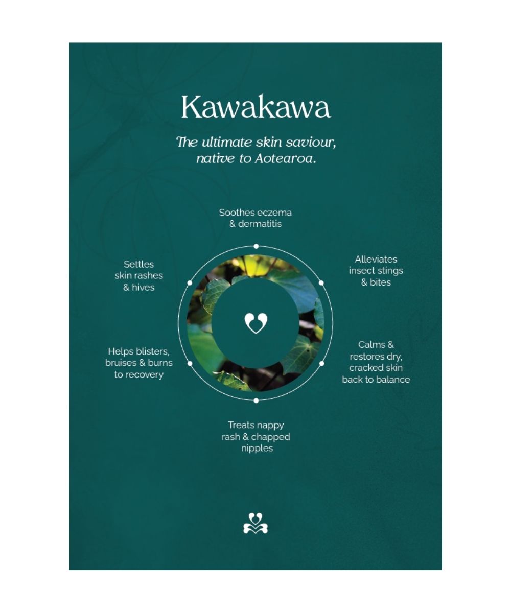 Kawakawa leaf with with text for suggested uses on a green background