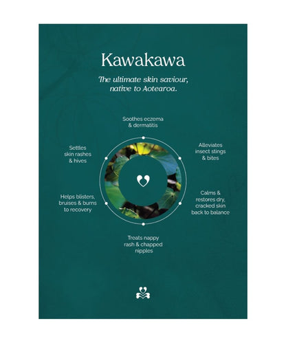 Kawakawa leaf with with text for suggested uses on a green background