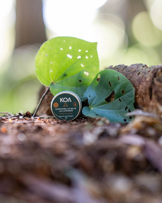 Kawakawa Lip Balm