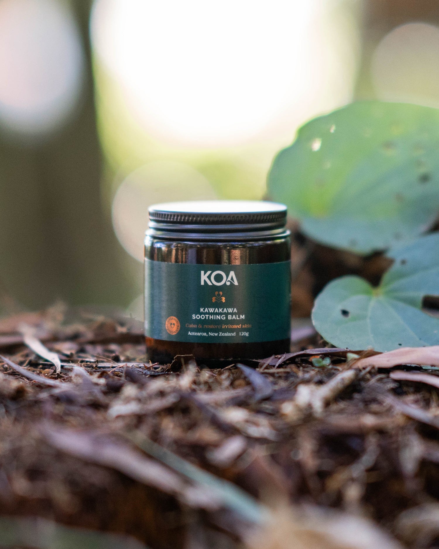 Koa Botanics Kawakawa Balm in forest bed