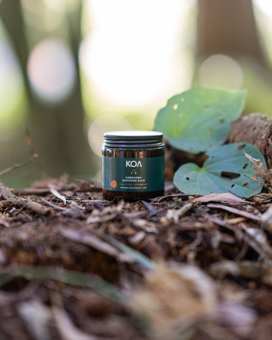 Koa Botanics Kawakawa Balm in forest bed