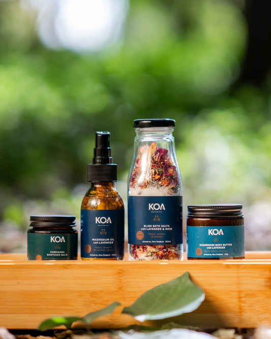 TRANSFORM: The Ultimate Wellness Bundle